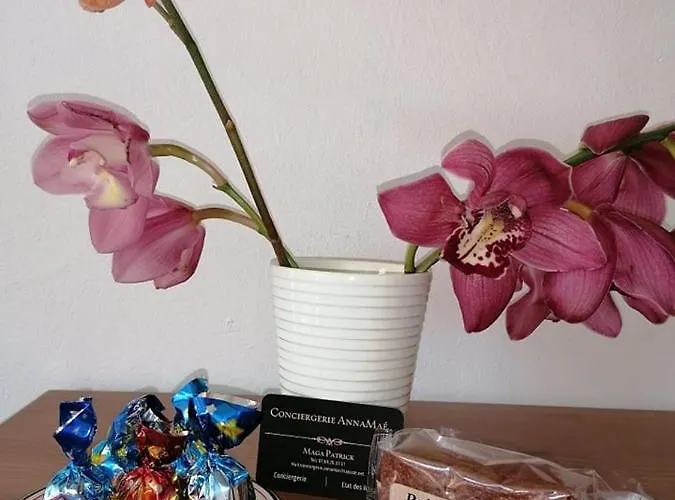 Ferienhaus La Maison Du Soleil & Du Sourire